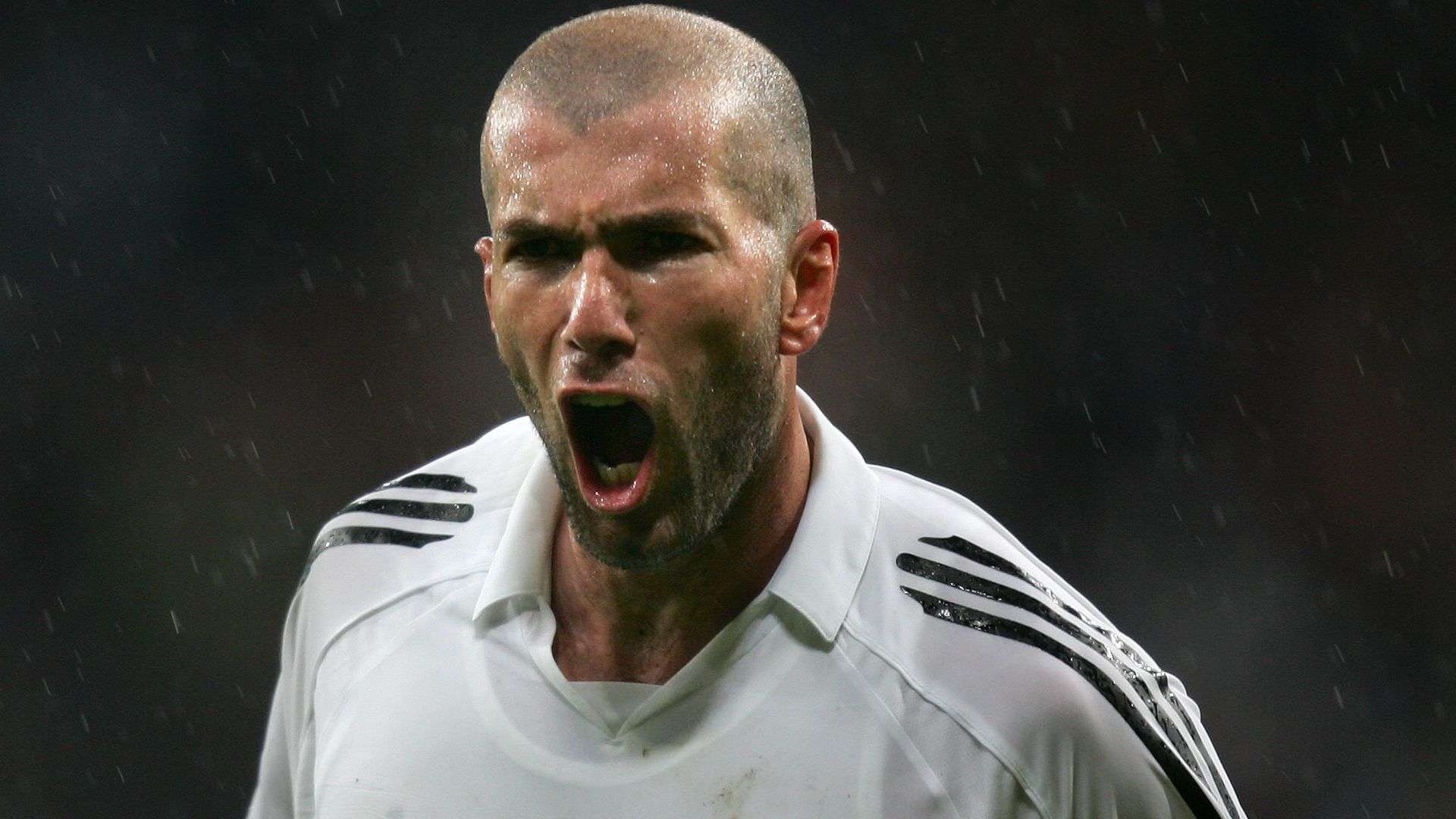 所有的成功 所有的成功