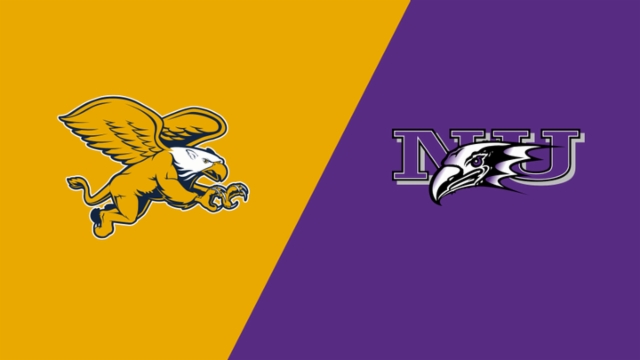 变数的世界 变数的世界